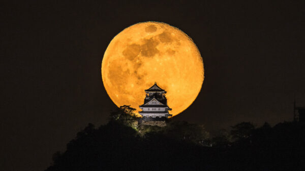 【第1回】「一枚の写真が地域を変える」株式会社オフィスK 代表取締役／写真家・一級建築士　小林 淳