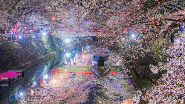 写真家・一級建築士 小林淳「空き家を価値へ変える」