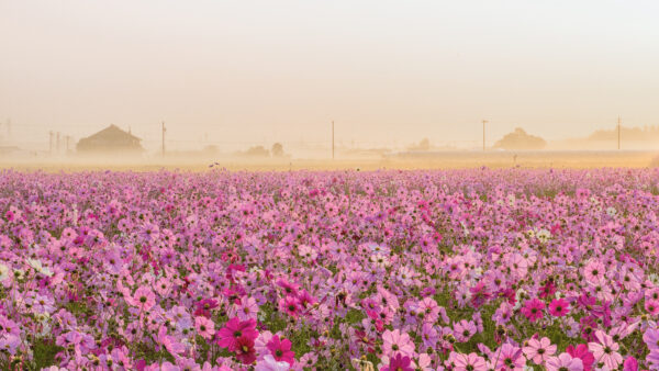写真家・一級建築士 小林淳「写真を軸に広がる地方創生」