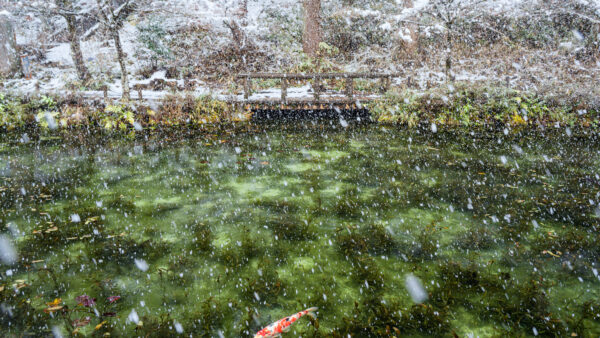 写真家・一級建築士 小林淳「写真が“売れる価値”をつくる」